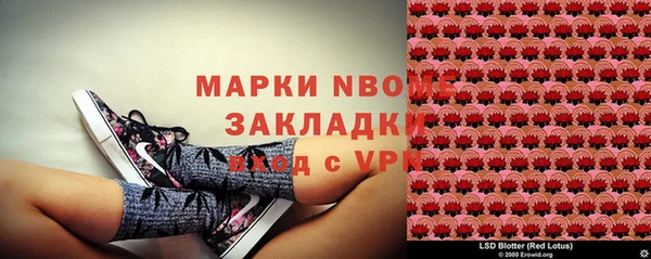 PSILOCYBIN Балахна