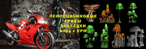 стафф Баксан